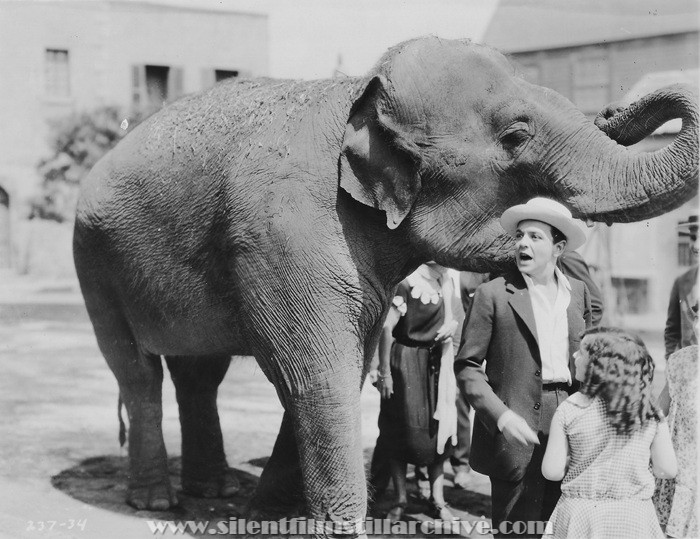 Robert Agnew and an elephant in THE GREAT LOVE (1925)
